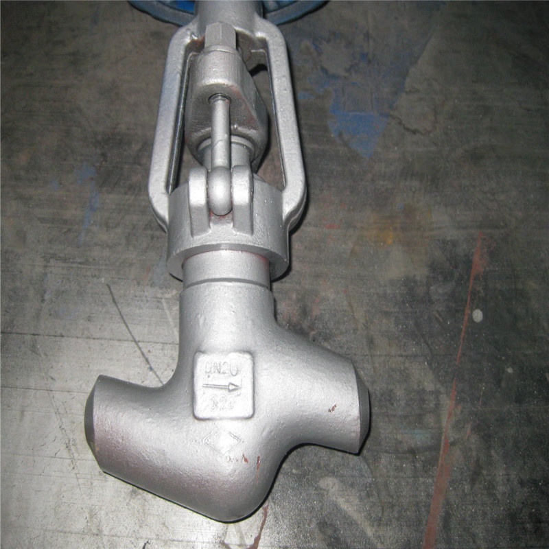 API 598 F304 Stainless Steel Body Forged Bolted Bonnet Class 2500 Socket Weld 